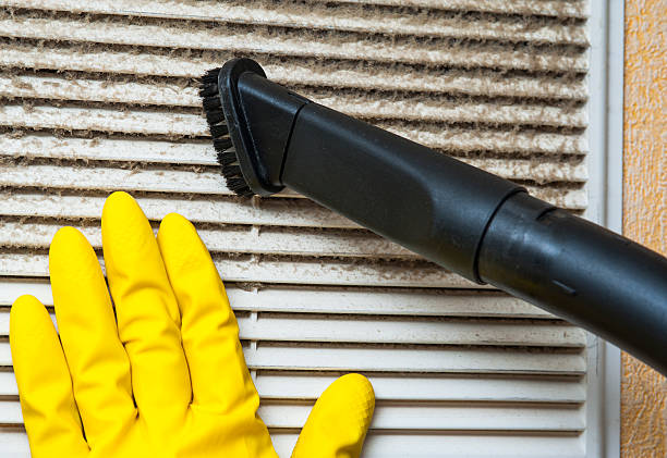 Best Air Duct Mold Removal  in Chanhassen, MN